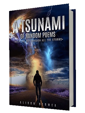 After the Storm Book